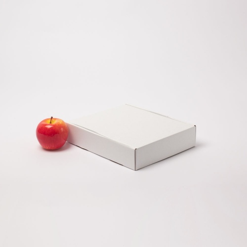 Коробка 20x5x25 самосборная с откидной крышкой, белый, Т11Е бел/бур, без печати, белый