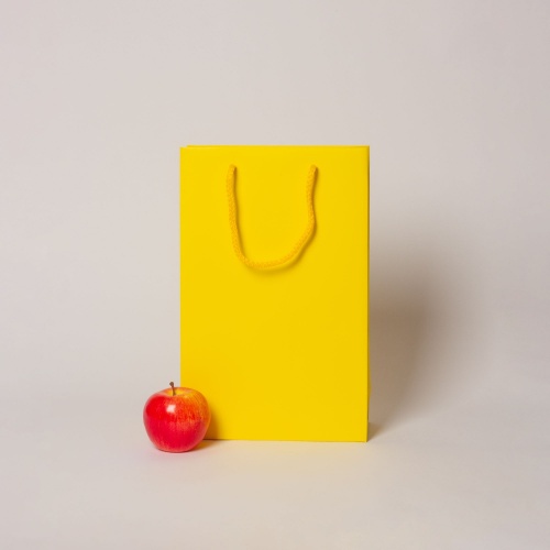 Пакеты бумажные 23х36х10см, цвет - желтый, материал - мелованная бумага, ламинация - матовая, ручки - шнур, фото 1 (вид спереди)