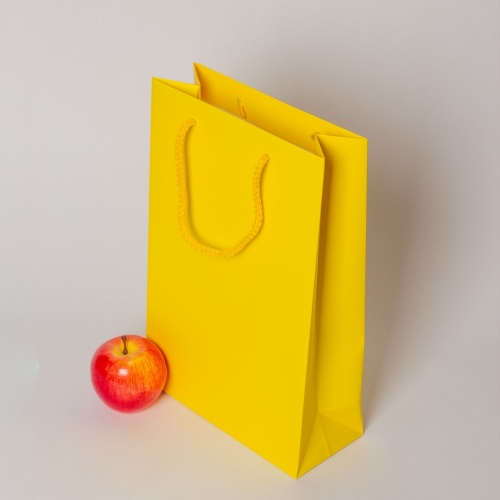 Пакеты бумажные 23х36х10см, цвет - желтый, материал - мелованная бумага, ламинация - матовая, ручки - шнур, фото 4