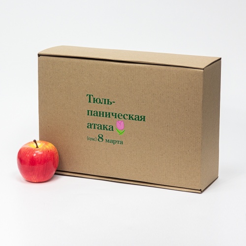 Гофрокоробки 22х10х33см, цвет - коричневый, материал - гофрокартон, ламинация - без ламинации, фото 1 (вид спереди)