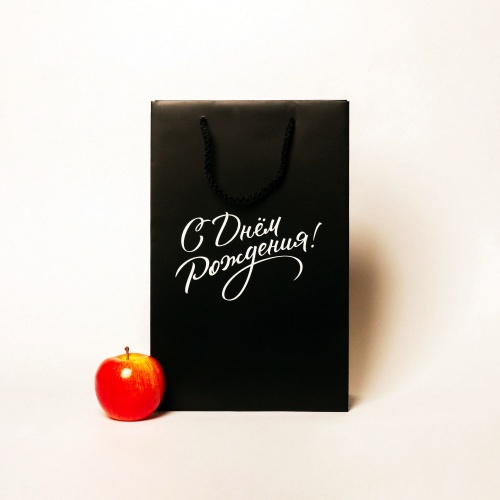 Пакеты бумажные 23х36х10см, цвет - черный, материал - мелованная бумага, ламинация - матовая, ручки - шнур, фото 1 (вид спереди)