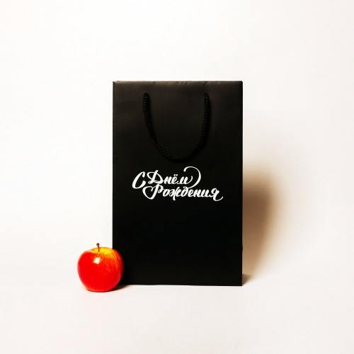 Пакеты бумажные 23х36х10см, цвет - черный, материал - мелованная бумага, ламинация - матовая, ручки - шнур, фото 1 (вид спереди)