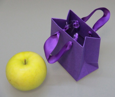 Пакет 10x10x6, фиолетовый, дизайнерский картон